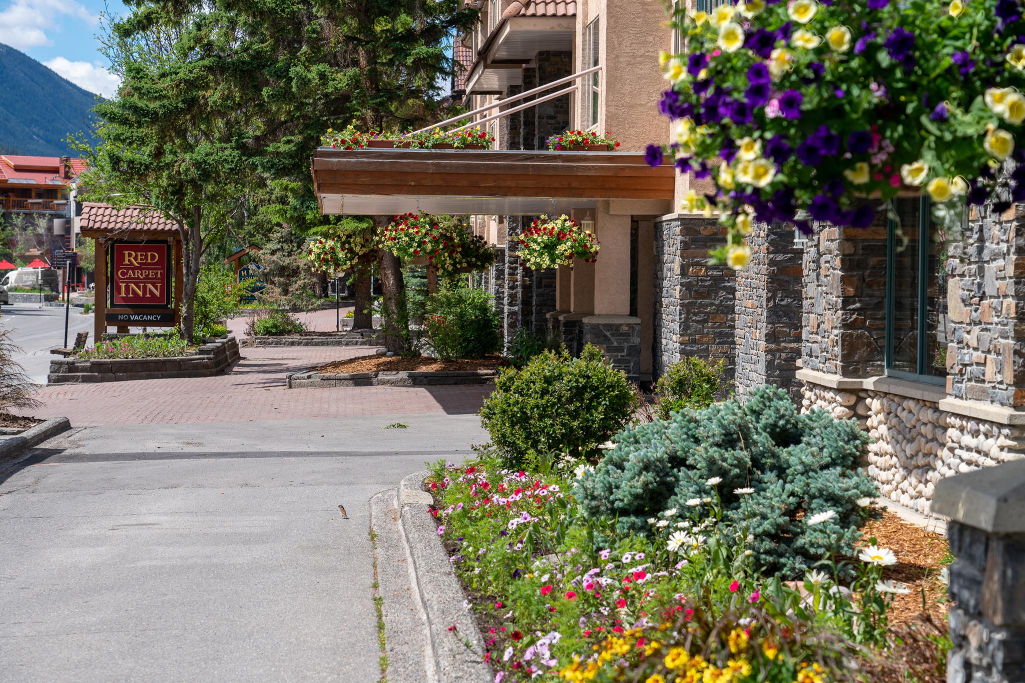 Red Carpet Inn Banff Exterior foto